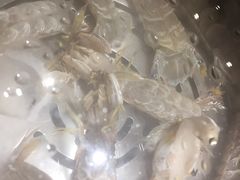 -苏大嘴海鲜牧场(奥林匹克店)