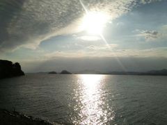 -浔味·山屿湖·正宗淳牌全鱼宴老字号