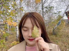 -哈乌尔河