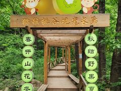 -大岭沟猕猴桃谷风景区