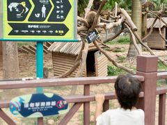 -灵玲国际马戏城