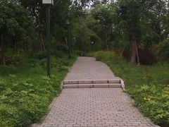 -首义公园-武昌蛇山烈士祠