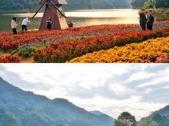 -广州市石门国家森林公园