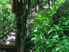 -陕西省红河谷森林公园