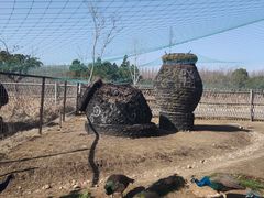 -东平国家森林公园