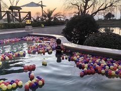 -苏州湾·王焰温泉