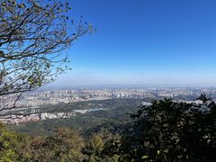 -紫金山山顶公园