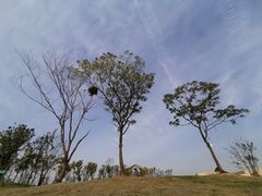 -盘龙城国家考古遗址公园