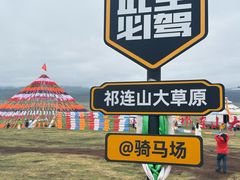 -祁连山草原