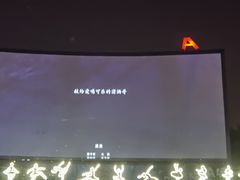 -枫花园汽车电影院(朝阳公园店)
