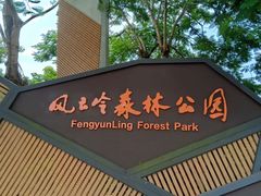 -风云岭森林公园