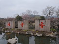 -香雪海