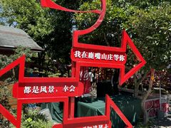 -杨梅坑