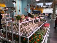 -KKV(深圳宏发大仟里店)