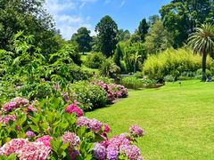 -墨尔本皇家植物园