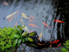 -岭南和园