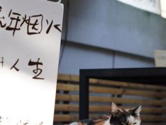 -微饮cafe