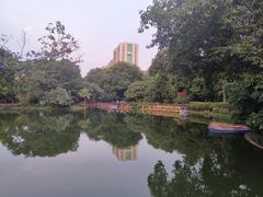 -晓港公园