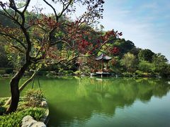 -云溪植物园