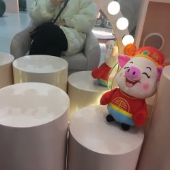 -好看加白色房子
