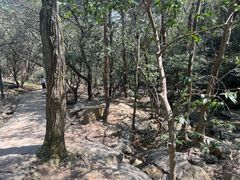 -虞山风景区