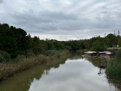-上海长兴岛郊野公园