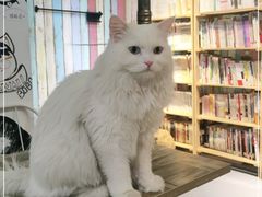 -小时光咖啡馆(开森度假森林店)