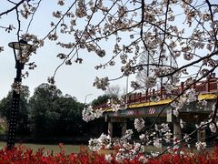 -高东镇樱花园