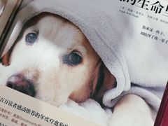 -西西弗书店&矢量咖啡(凯德晶萃广场店)