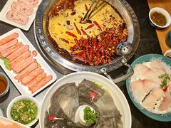 -一斗火锅·招财羊毛肚(泰吉滨江店)