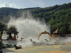 -西双版纳原始森林公园