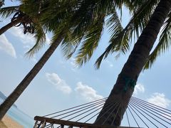 -三亚海棠湾万丽度假酒店