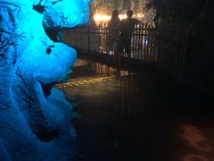 -暹罗海洋世界