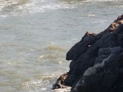 android_upload_pic-蓬莱阁景区