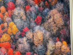 -罗红摄影艺术馆