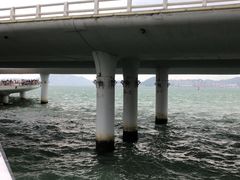 -演武大桥观景平台