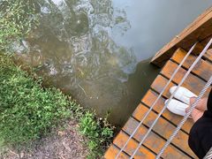 -新江湾城公园