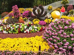 -上海共青森林公园