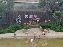 -齐齐哈尔龙沙动植物园
