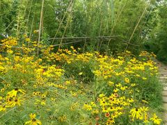 android_upload_pic-青岛国学公园