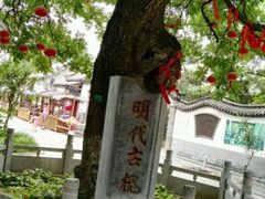 -杨家埠民间艺术大观园