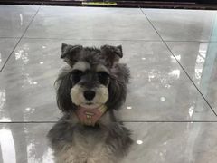 -安安宠医宠物医院·异宠·犬猫内科(岳阳分院)