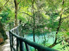 -石台牯牛降景区