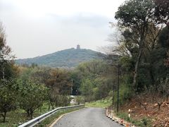 -宝界山林公园