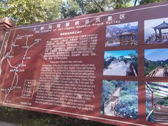 -大岭沟猕猴桃谷风景区