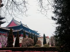 -大槐树寻根祭祖园