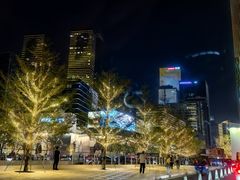 -深圳湾万象城(南山店)