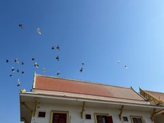 -洛阳白马寺