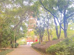 -分塔山省级森林公园