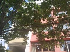 -杨浦小学(西区分校)